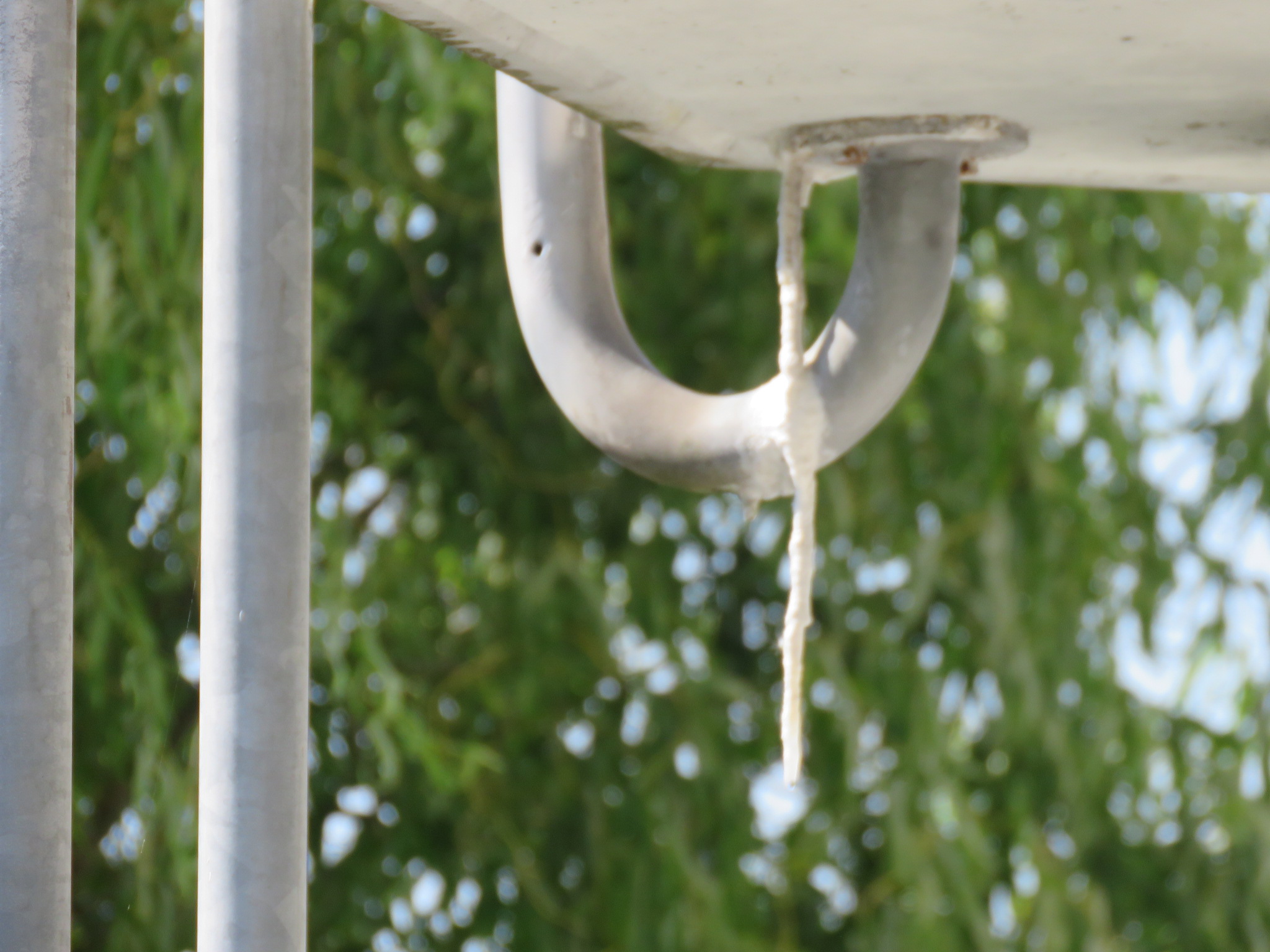 Balkon-Schäden Bild 1